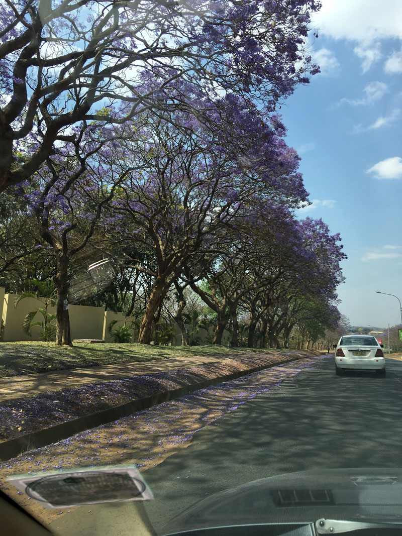 Environment of Malawi