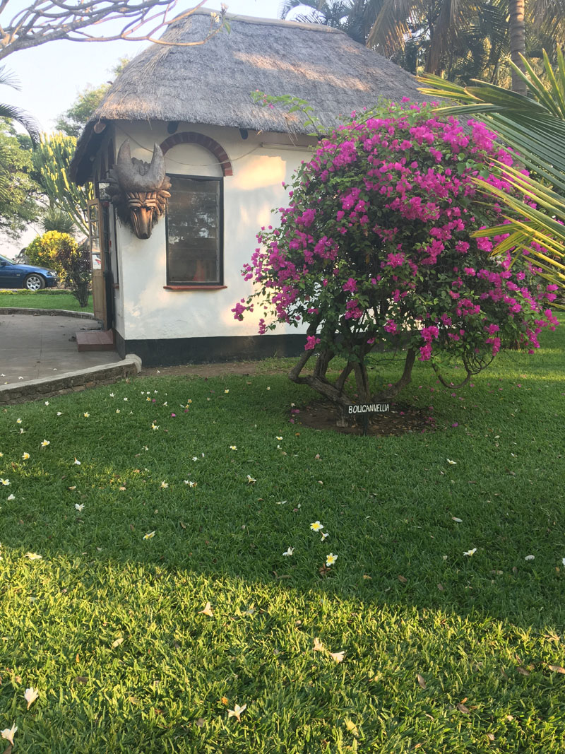 Environment of Malawi