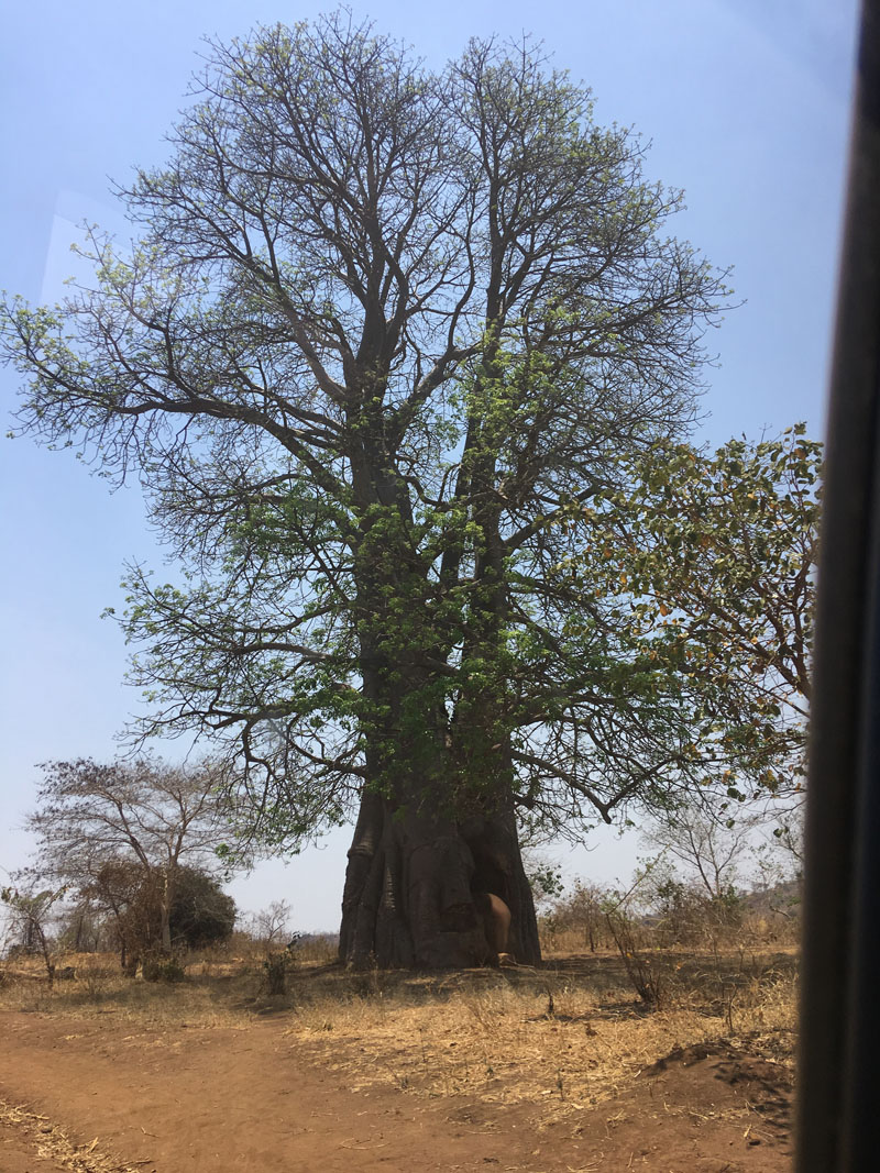 Environment of Malawi