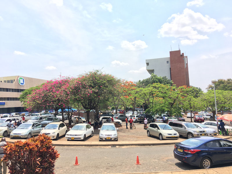 Environment of Malawi