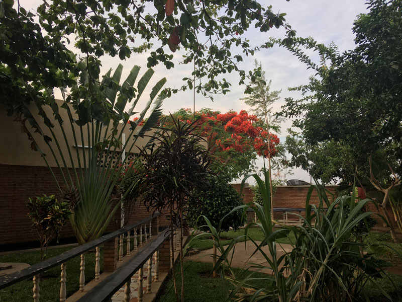 Environment of Malawi