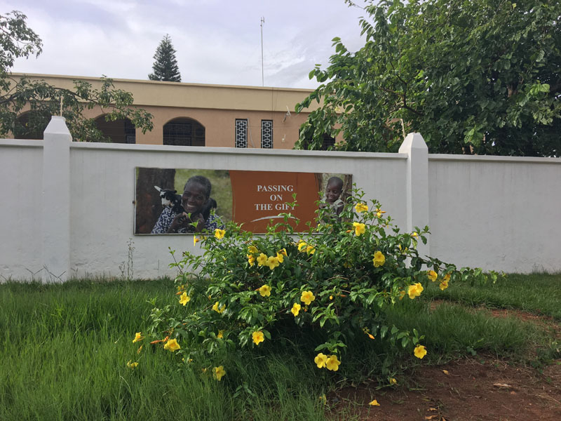 Environment of Malawi